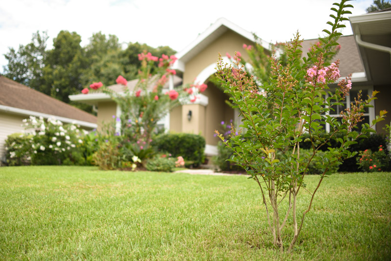 Reseda Mortgage Broker